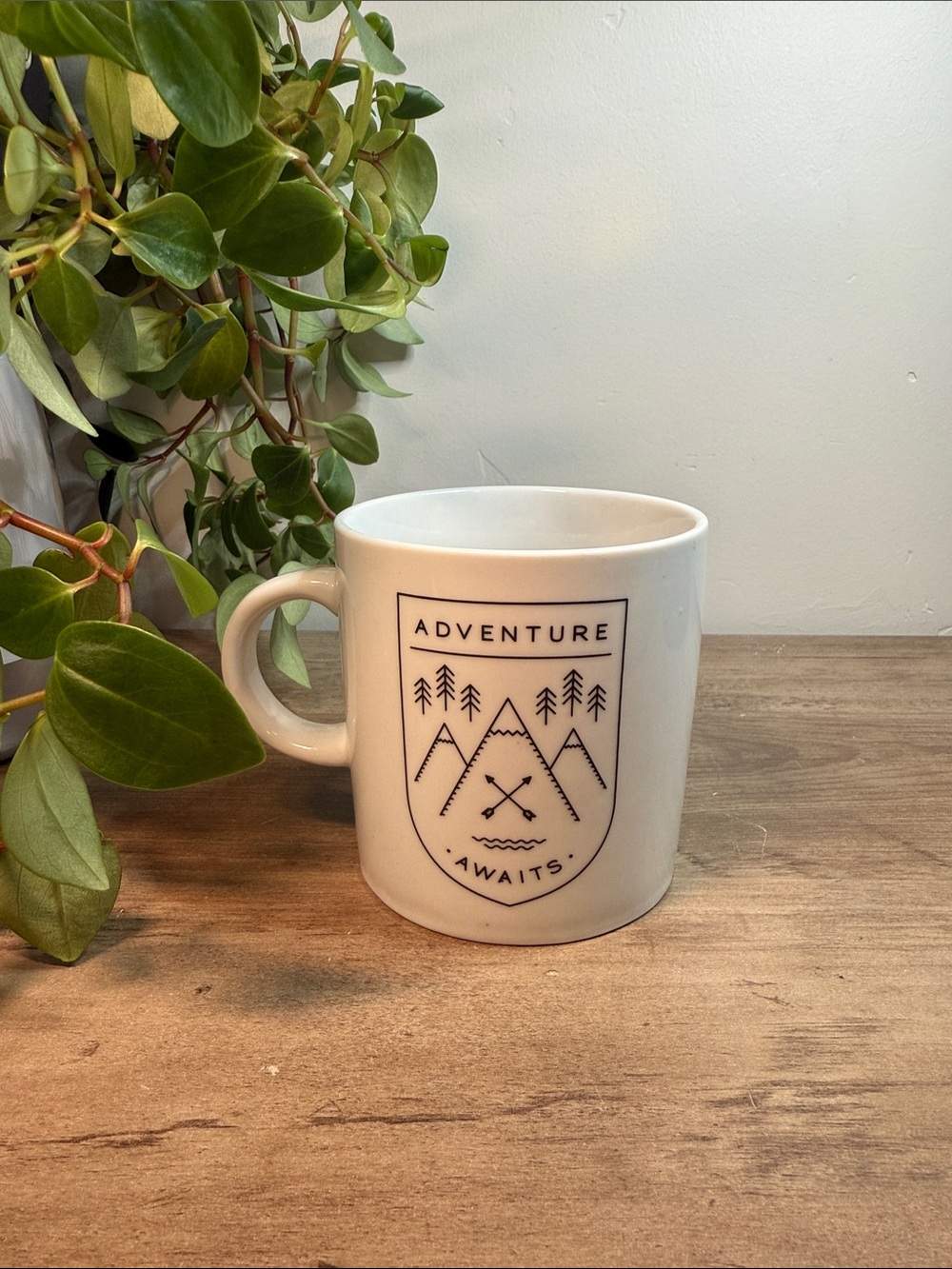 Danica Studio Adventure Awaits Mug Mountains Trees Arrows